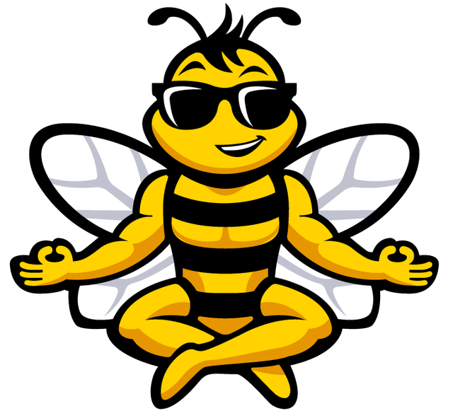 Centner Academy Bumblebee